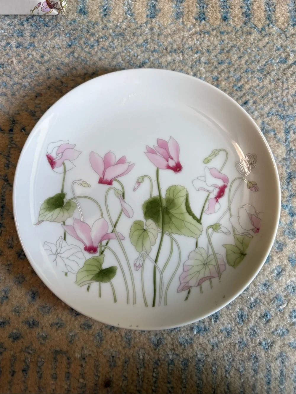 Shafford elegant porcelain